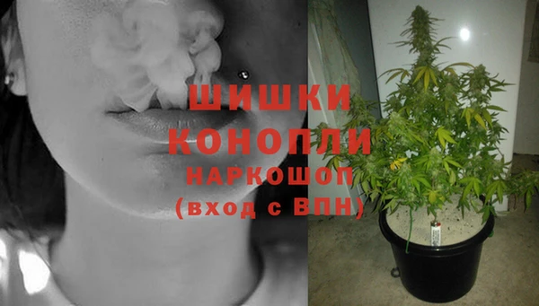 МДПВ Бронницы