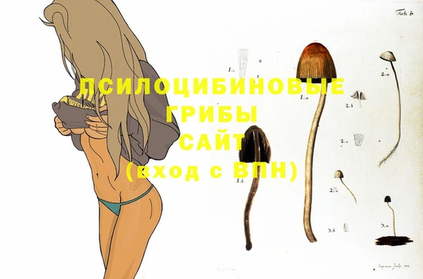 Альфа ПВП Бородино
