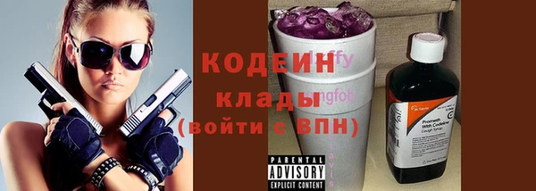 тгк Няндома