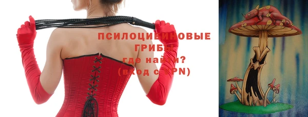 спайс Новозыбков