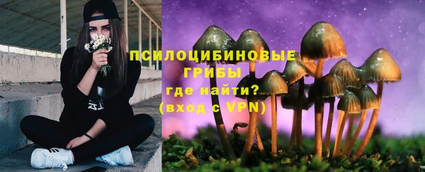дурь Новокубанск
