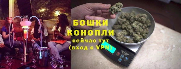 стафф Новосибирск