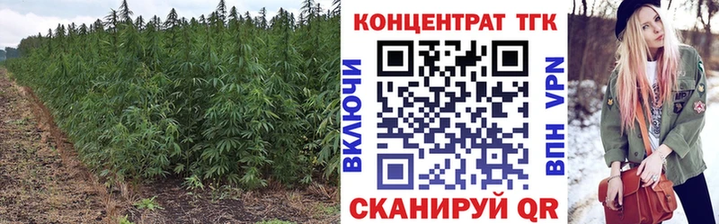 ТГК THC oil  Кукмор 
