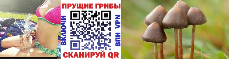 Псилоцибиновые грибы GOLDEN TEACHER  Кукмор 
